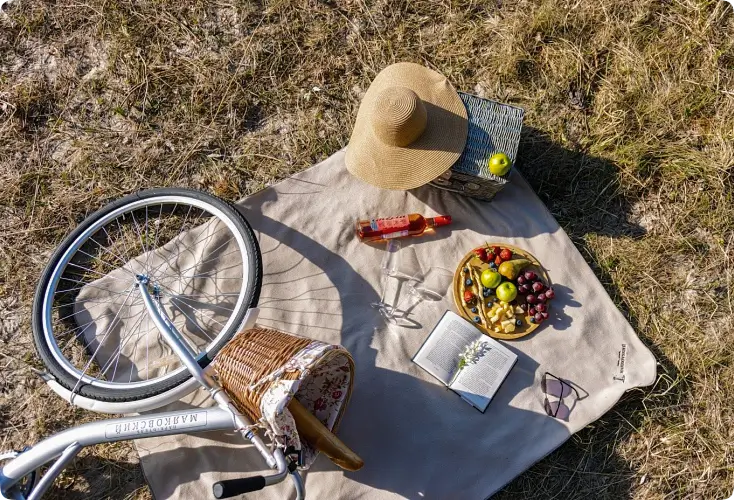 <span id="bikes"></span> Аренда велосипедов